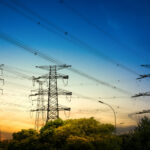 Participants in the Indian Power Sector